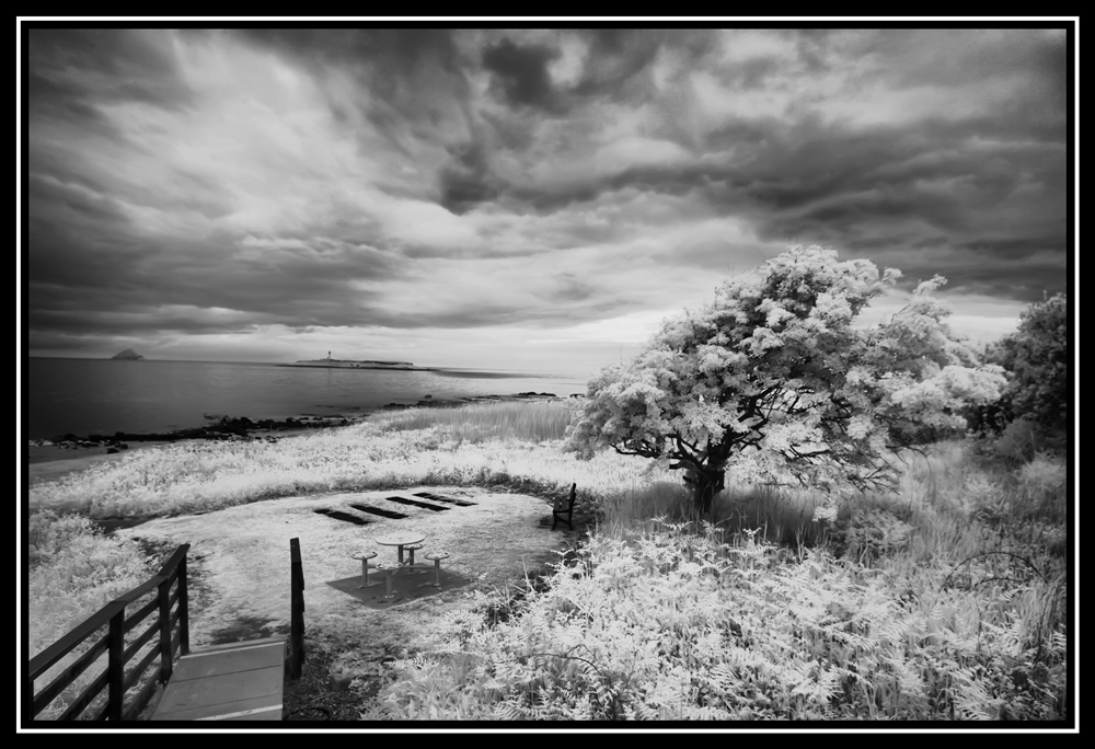 Scotland 2010   0301 s